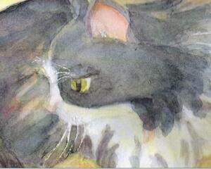 Softly painted watercolor of a cat is printed on the face of this 5 card set of note cards.  Comes with plain white envelopes.   
