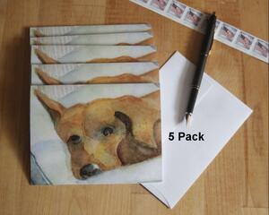 Express yourself with this cute set of 5 blank doggie cards sporting the face of a brown puppy dog reclining on some pillows.