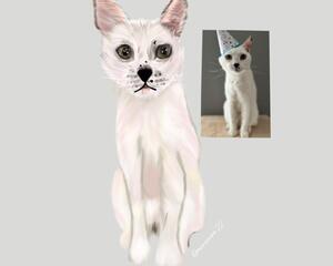 White applehead siamese cat portrait,  from a photo  in the picture you can see the siamese cat and the photo of the cat  on the side for realistic portrait reference