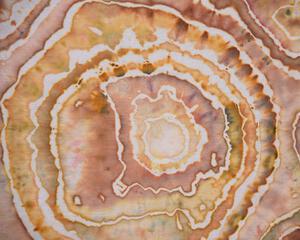 Flour Sack Towel Set - Golden Brown