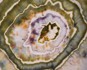 Flour Sack Towel Set