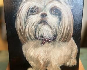 Meet Bella! 9x12 Canvas