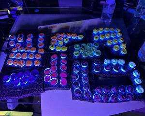 Grab Bag of Handmade Artisan Watercolor Paints
