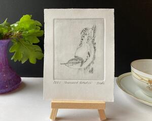 OEV-1 photo of Hand-Incised Intaglio Print White-Breasted Nuthatch next to teacup for size reference, print is 3-3/4" wide x 4-1/8" tall