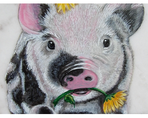 Pig Art
