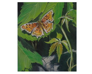 Common Butterfly Painting