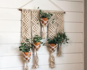 Macrame plant hanger