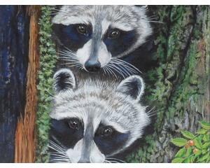 Raccoons Painting