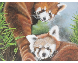 Red Panda Painting