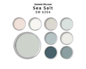 Sea Salt Sherwin Williams Paint Color Palette | Whole House Paint Palette