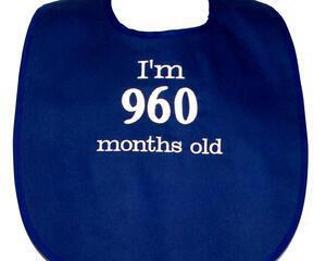 960 Months Old Adult Bib