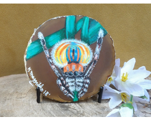 Peacock Spider Agate Slice Painting