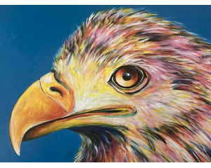 “Bald Eagle” signed open edition print by Chris Wakefield