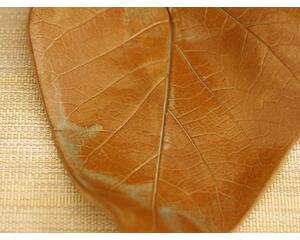Ceramic leaf tray glazed in light tan with hints of blue with catalpa leaf texture. 7"x9"