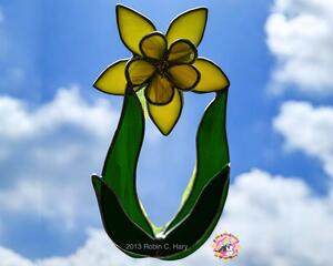 Daffodil suncatcher- in yellow-  in direct sunlight.