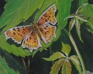 Common Butterfly Painting, "A Sense of Peace"