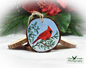 A hand-painted northern cardinal wood slice Christmas ornament available for purchase exclusively at Cove Creek Photography.