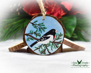 A hand-painted wood slice Christmas ornament with a rose-breasted grosbeak available for purchase at Cove Creek Photography.