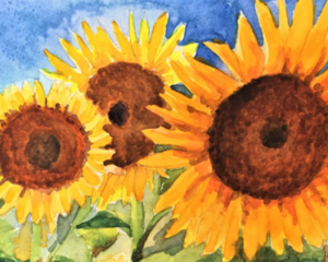 These are three beautiful yellow sunflowers that were growing in my garden one summer. They are cheerful reminders of all the good memories.