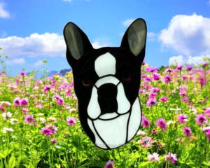 Boston Terrier Stained Glass Suncatcher