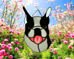 Boston Terrier Puppy Stained Glass Suncatcer