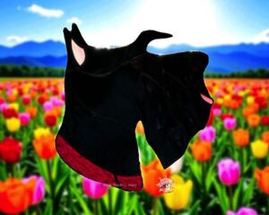 Scottish Terrier- Scottie- Stained Glass Suncatcher