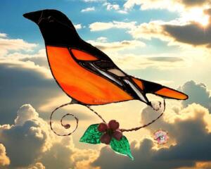 Baltimore Oriole In direct sunlight.