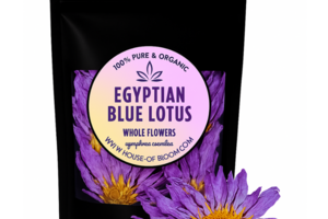 Blue Lotus herbal tea brewing in a glass cup with dried flowers on a wooden background