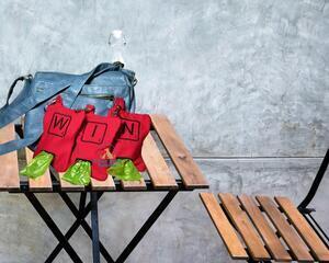 Cherry Red Dog Poop bag holder, Personalized waste bag dispenser bow shape, Great gift for Dog trainer pet sitter