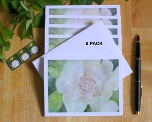 Close up of a single white rose with petals accented in pinks  and peach is the focal point in this 5 pack of all occasion note cards. 