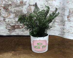 Not Dead Yet Potted Plant Band