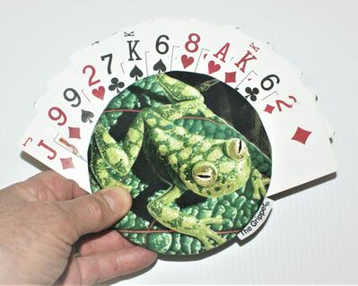 Exotic Frog #1