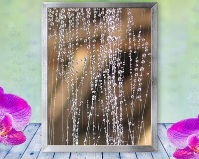Water drops sparkle as they cascade down in this peaceful, magical, dew drop photo. Print with Poem - Drop Falls by The Poetry of Nature