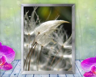 Dandelion seeds appear to embrace in this sexy, sensual, nature macro photo. Print with Poem by The Poetry of Nature