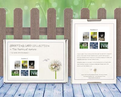 Dandelions I - Greeting Card Collection by The Poetry of Nature