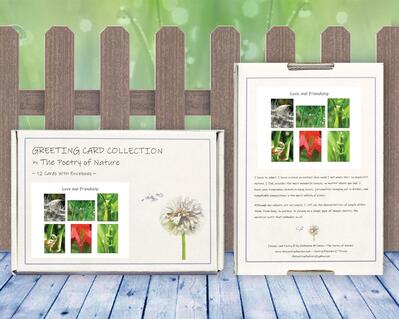 Love and Friendship - Sensual, sexy, greeting card collection by The Poetry of Nature, Stories in nature photo cards with poems. Boxed Set Baker's Dozen