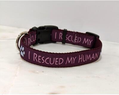 rescue dog collar