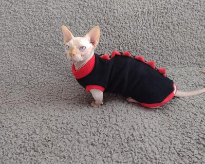 Sphynx Cat Clothes Bambino Sphynx Clothes Cannabis Leaves 