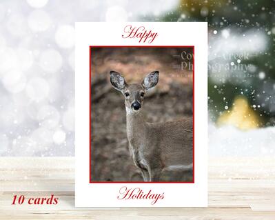 Beautiful Snowy Deer Christmas Card by Medici SINGLE CARD