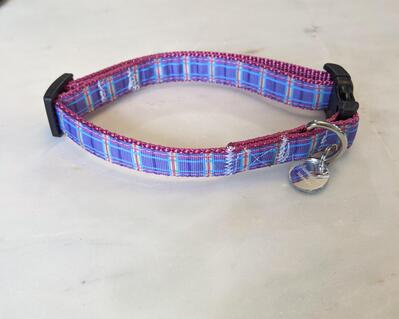 Purple plaid dog collar