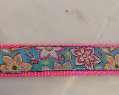 Bright pink and floral dog leash