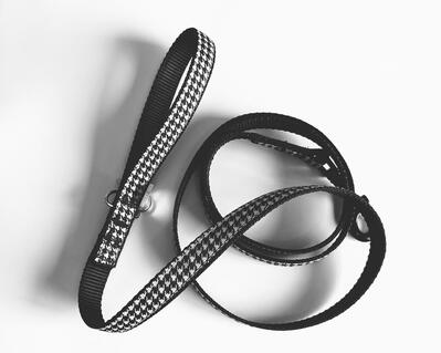 Houndstooth dog leash