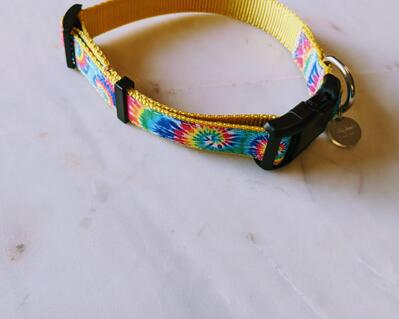 Tie dye dog collar