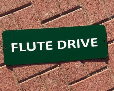 This text is covering two signs: one is Flute Drive and other Flutists' Way".  These are terrific for assigning parking places at home, in a bedroom it is the flutists way or Flute Drive.  Made to last and cherish a lifetime.  All signs are outside vinyl to withstand rain, snow, heat, or cold.  Superman signs!