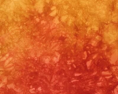 spicy colors of turmeric, cinnamon and paprika combine in this hand dyed cotton gradient