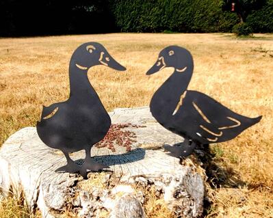 Mtela ducks yard art