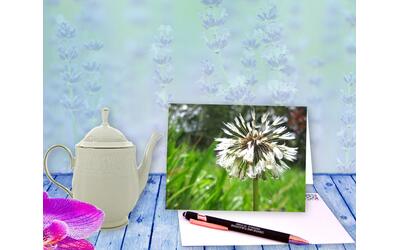 Dandelion poof with dew nature photo card with poem