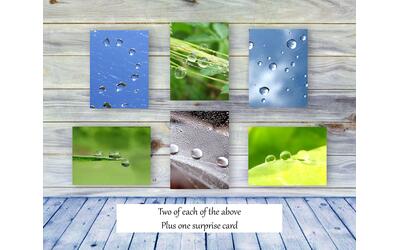 Dew Drops III - Colorful, botanical, greeting card collection by The Poetry of Nature, Stories in nature photo cards with poems. Boxed Set Baker's Dozen