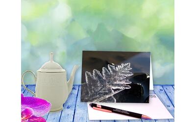 Crystals of Ice resemble a fishing pier as they spread like a fern across a pond. Fern Pier - greeting card with poem by The Poetry of Nature Crystals of Ice resemble a fishing pier as they spread like a fern across a pond. Fern Pier - greeting card with poem by The Poetry of Nature
