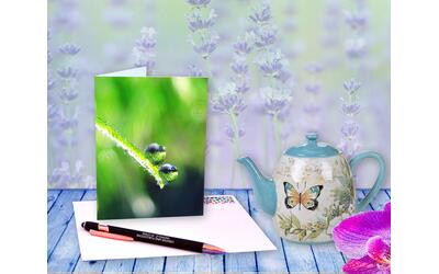 Dew drops on green grass reflect the world - greeting card by The Poetry of Nature Dew drops on green grass reflect the world - greeting card by The Poetry of Nature